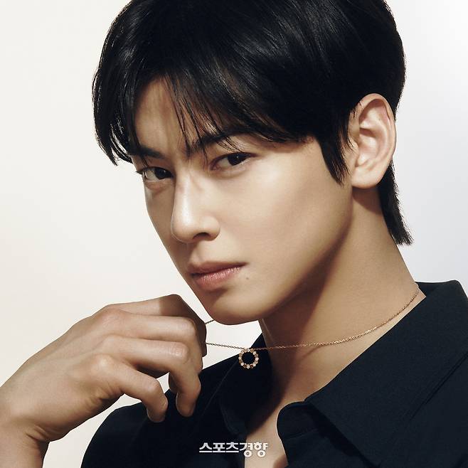 200억원대 조세 회피 의혹을 받고 있는 아스트로 멤버 차은우. 경향신문 자료사진