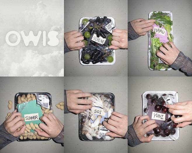 '이해인 제작' 버추얼 OWIS, 5인조 확정..멤버명·위버스 오픈