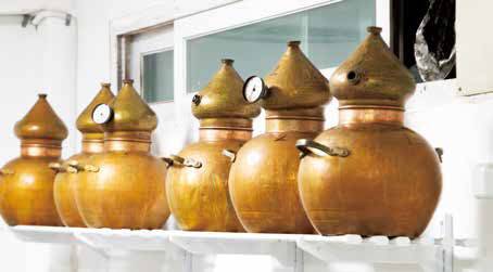 삼해소주를 증류하는 알람빅 동 증류기.