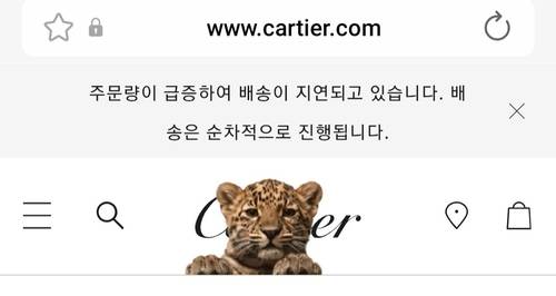 지난 26일 배송 지연 안내 [까르띠에 온라인몰 화면 캡처]