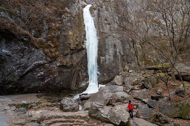 거대한 얼음 기둥이 된 금오산 대혜폭포. 혹한의 추위 앞에서 28m 높이 폭포가 꽝꽝 얼어붙었다. 백종현 기자