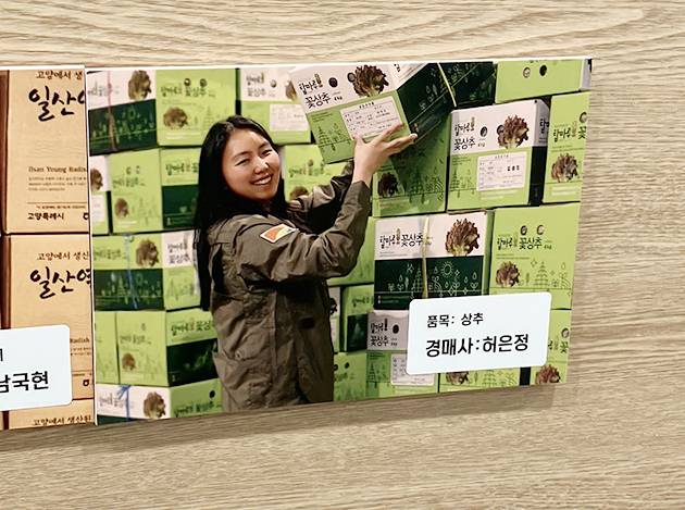 동화청과 경매사 허은정 과장의 사진이 동화청과 사무실에 붙여있다. 김연서 인턴기자