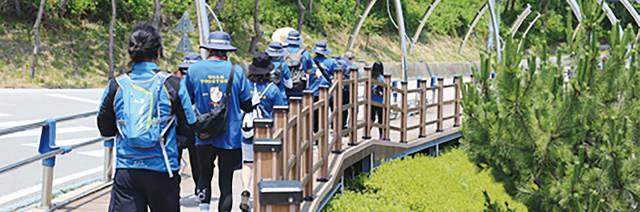 메이드인피플이 주관한 걷기 프로그램 참가자들이 경북 영덕 블루로드에서 다양한 풍광을 만끽하고 있다. 메이드인피플