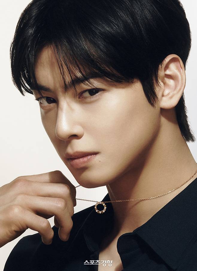 [단독] 차은우 ‘유령회사’ 현장조사 완료, 고발 당하나