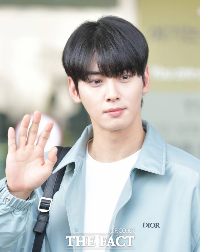 차은우는 한때 ‘얼굴 천재’, ‘호감도 최상위 스타’로 불리던 주인공이다. 하지만 최근 200억 원대 탈세 의혹이 불거지며 연예계 전반에서 사실상 퇴출 분위기라는 말까지 나오고 있다. /박헌우 기자