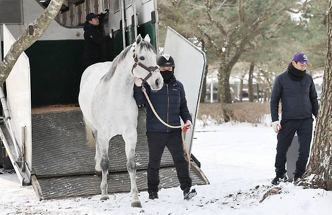 제주 목장에 도착한 '닉스고'  (한국마사회)