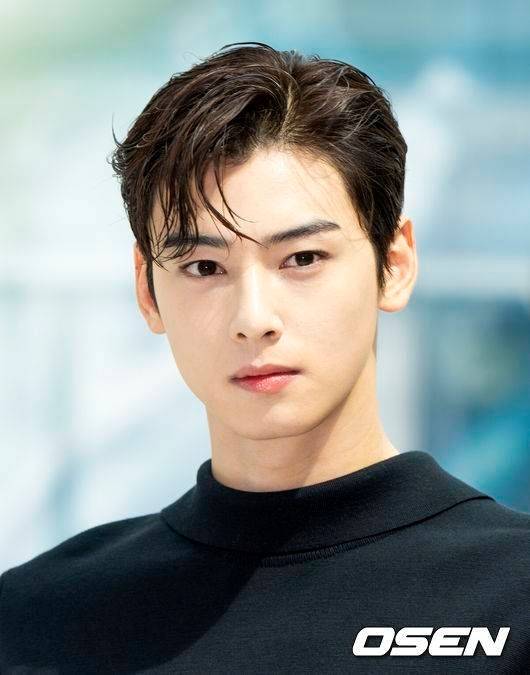 차은우, ‘200억 추징’ 논란에 납세자연맹까지 등장..“탈세 단정은 명예 살인”