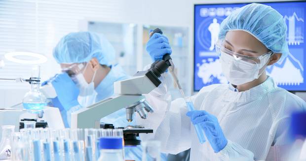 클립아트코리아