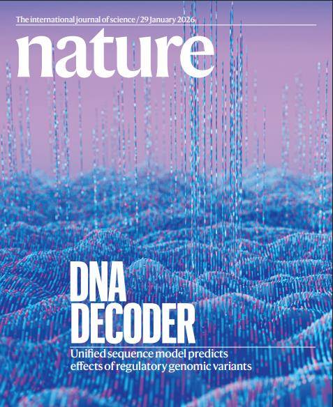 구글 딥마인드 '알파게놈' 연구가 실린 네이처 표지 [Nature 제공. 재판매 및 DB 금지]