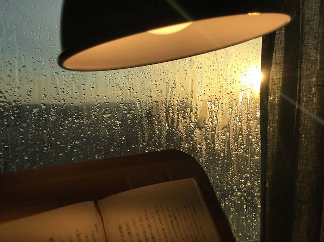 얼어붙은 창문 너머로 떠오르는 태양 /정수윤 제공