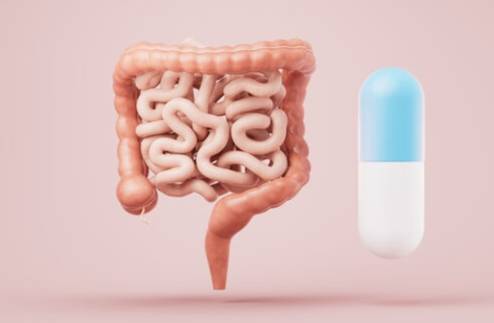 장은 면역과 정신 건강에 영향을 미치는 중요한 기관이다. 클립아트코리아