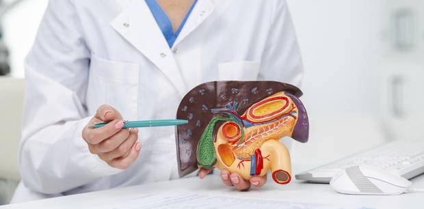 클립아트코리아