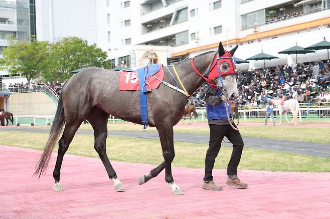 플라잉스타. 2025년4월27일 뚝섬배