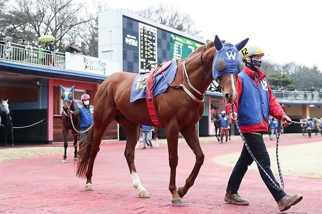 빅스고. 2024년1월18일 세계일보배