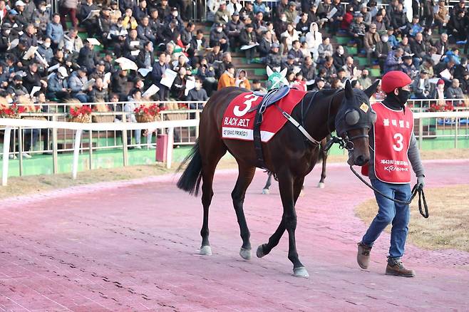 블랙벨트. 2025년11월30일 그랑프리