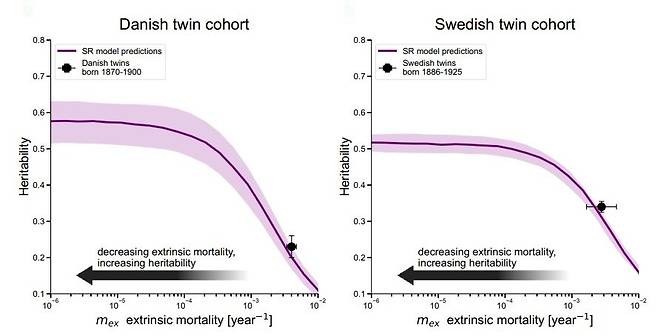인간의 수명은 타고난다?…"유전적 요인 영향 최대 55%" 수학적 모델과 인간 사망률 시뮬레이션, 대규모 쌍둥이 코호트 자료 등을 활용해 유전 등 내인성 사인과 사고 등 외인성 사인을 분리해 분석한 결과 유전적 요인의 영향이 수명 결정에서 약 50~55%를 차지하는 것으로 나타났다. [Science, Uri Alon et al. 제공. 재판매 및 DB 금지]