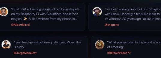 몰트봇 사용자 후기들. 기존 AI와는 달리 사용자 컴퓨터 데이터에 완벽히 접근 가능하다는 점을 이용, 적극성과 능동성을 발휘한다는 게 차별화됐다. 몰트봇 홈페이지