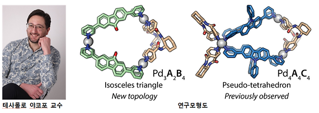 전남대 연구진 단순 나노 구성 요소로 복잡한 비대칭 구조 구현.
