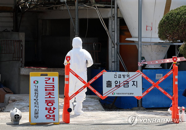 연합뉴스.