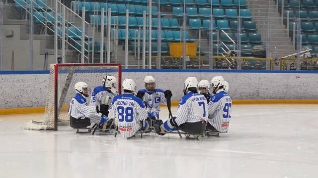 대구광역시장애인체육회 소속의 아이스하키 선수들. 대구광역시장애인체육회 제공