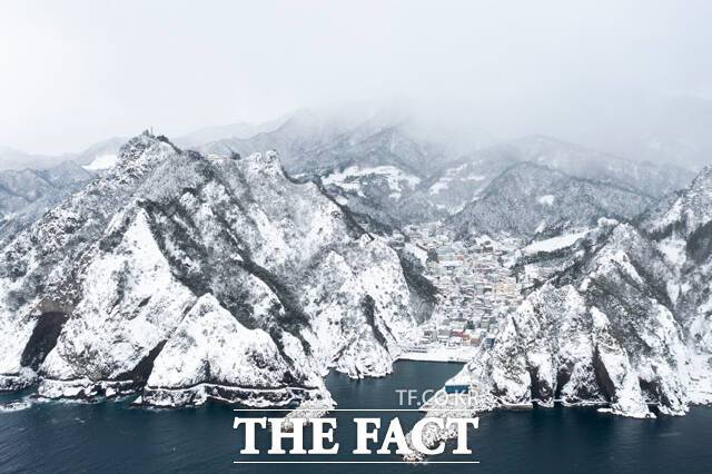은빛 설국 울릉도. /김성권 기자