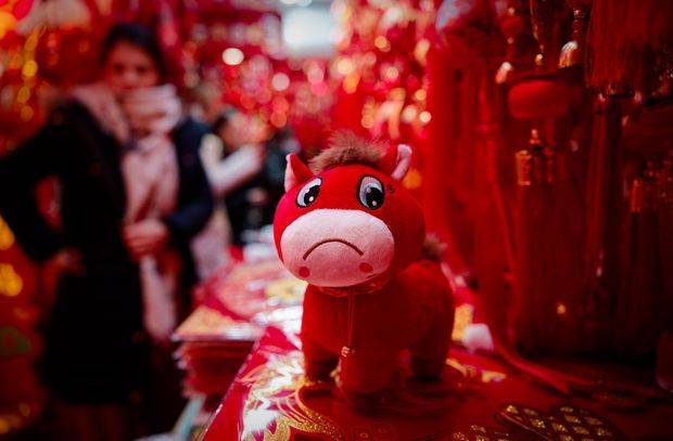 중국 상하이의 한 상점에서 판매하고 있는 우는 말(쿠쿠마). EPA연합뉴스