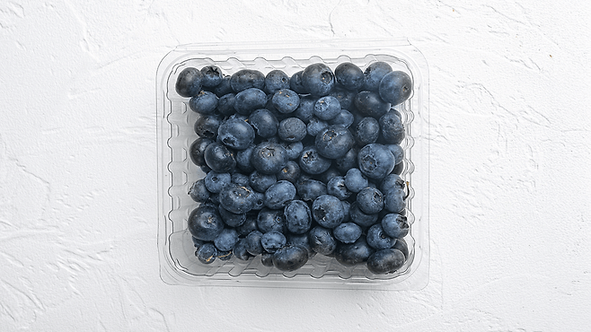 안토시아닌의 뇌 혈류 개선 작용, 인지 기능 저하 지연 및 치매 위험 완화 가능성｜출처: 클립아트코리아