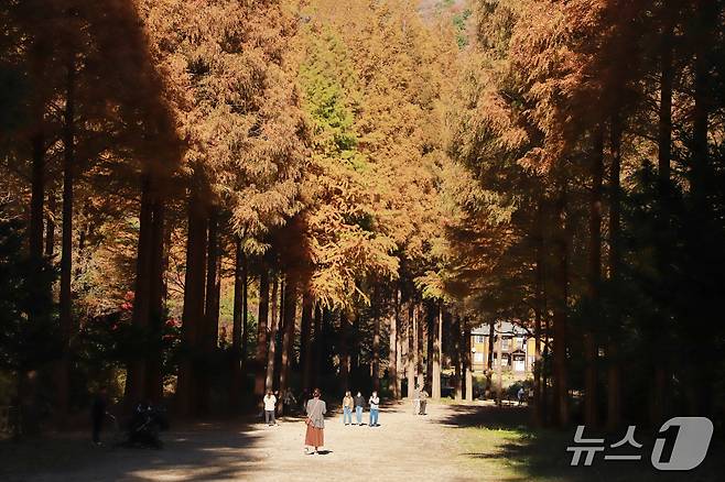 벌곡면 일원 ‘온빛수목원’(논산시 제공.재판매 및 DB금지)/뉴스1
