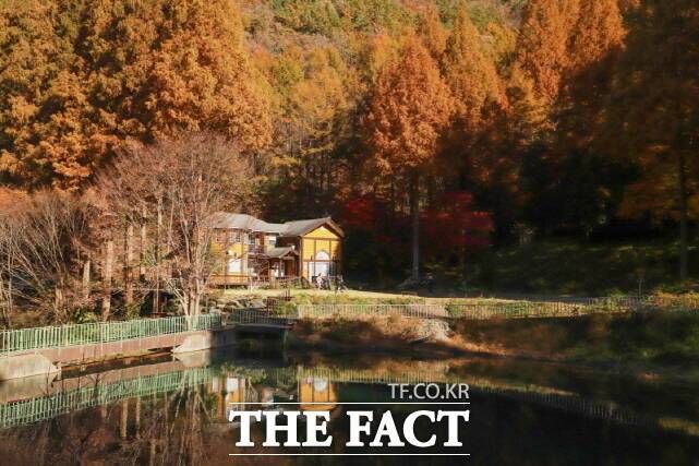 논산시 온빛자연휴양림. /논산시