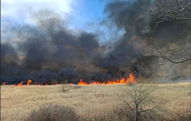 창원 수산대교 아래 갈대밭에서 2일 오후 화재가 났다. 건조한 날씨에 불은 순식간에 번졌다. 사진 창원소방본부