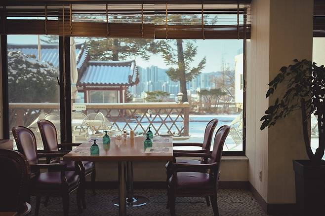 춘천세종호텔, 하얀 눈이 쌓인 잔디마당(사진=안규림)