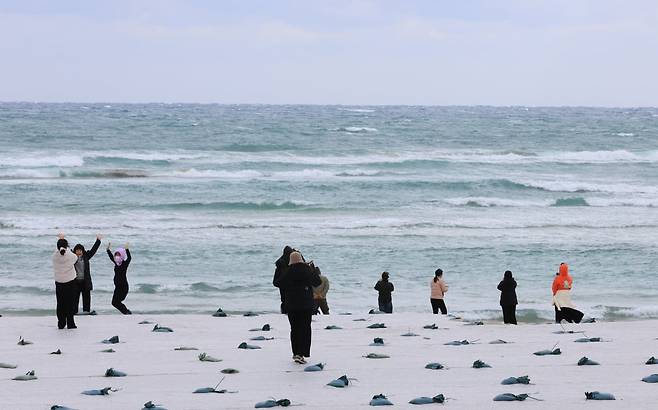 제주시 조천읍 함덕해수욕장에서 관광객 등이 겨울 바다 정취를 감상하고 있다. 사진=연합뉴스