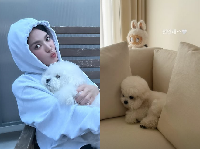 송혜교 SNS 캡처