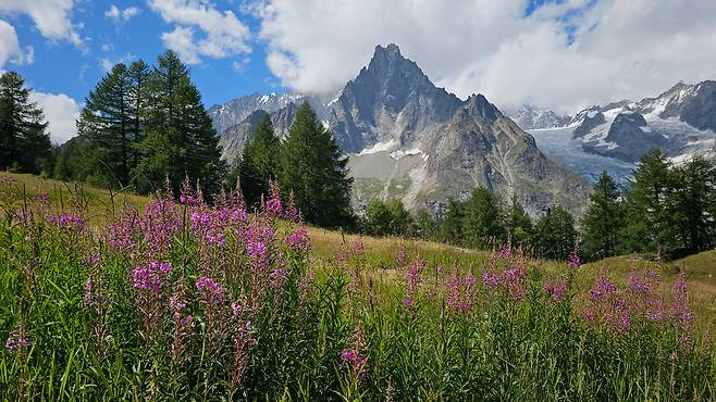 /박병원셰크뤼까지 가는 길은 부담 없이 최상의 경치를 즐길 수 있는 트레킹 코스였다. 걸으면 훨씬 더 다양한 각도의 경치를 즐길 수 있다. 차를 타고 다닐 때는 보이지 않던 것들이 보인다./박병원