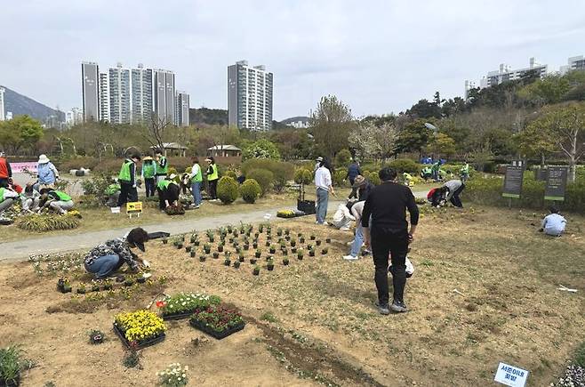 지난해 부산시민공원 일대에서 진행된 ‘2025 부산시민공원 시민꽃밭, 참여의 정원 가꾸기 사업’ 현장. 부산시설공단 제공