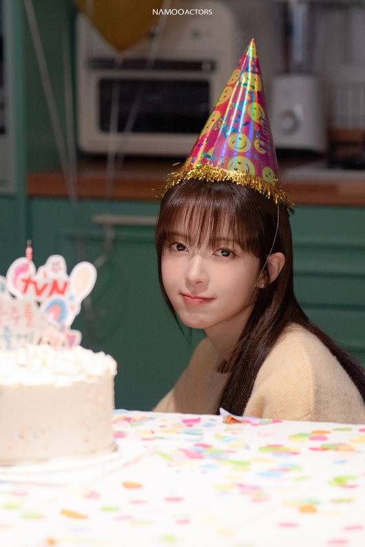 나무엑터스 제공