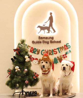 경기 용인에 있는 삼성화재 안내견학교 내부. 삼성화재 안내견학교 홈페이지