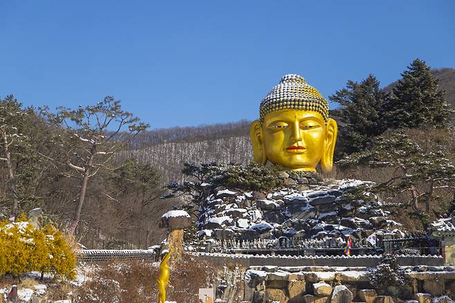 용인와우정사의 황금불두. [경기관광공사]