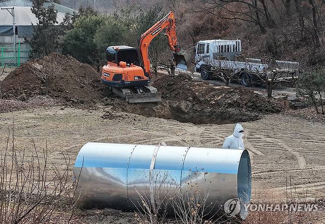 아프리카돼지열병 발생…살처분 준비 (창녕=연합뉴스) 김동민 기자 = 4일 경남 창녕군 대합면 아프리카돼지열병(ASF)이 발생한 돼지 사육 농가 주변에서 방역 당국 관계자가 살처분을 준비하고 있다. 2026.2.4 image@yna.co.kr