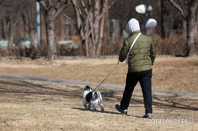 서울 성동구 서울숲에서 한 시민이 반려견과 산책을 하고 있다.(사진은 기사 내용과 무관)