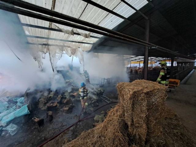 ▲ 5일 오전 7시 9분쯤 홍천군 남면의 한 축사에서 화재가 발생했다. 강원소방본부 제공