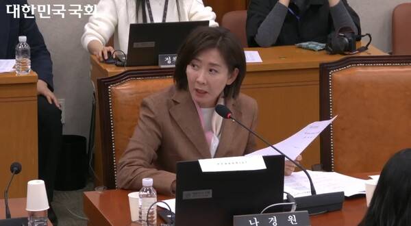 ▲나경원 국민의힘 의원이 4일 국회 법사위 전체회의에서 이재명 대통령에게 범죄자 대통령이라 말하는 게 틀렸냐며 추미애 법사위원장과 언쟁을 벌이고 있다. 사진=국회 영상회의록 갈무리