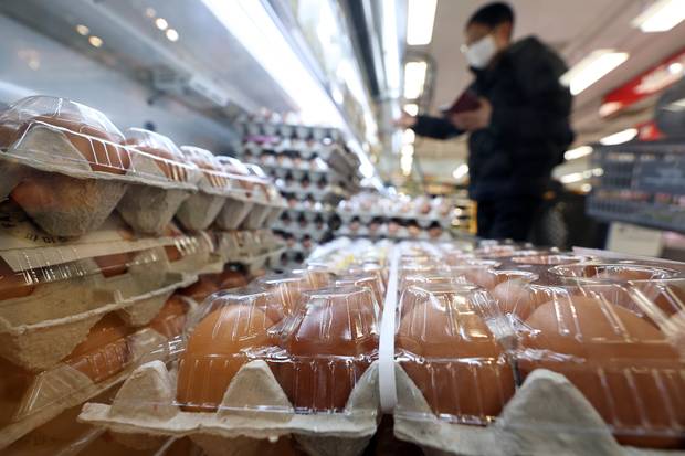 서울의 한 대형마트 달걀 코너에서 시민이 달걀을 고르고 있다. 뉴스1