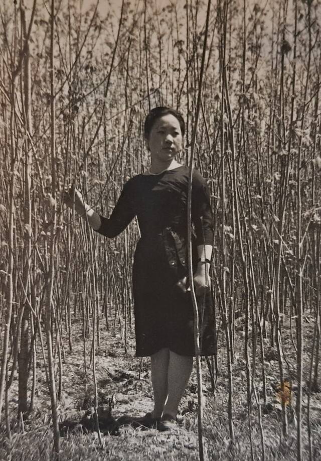 박영희씨의 젊은 시절. 김도환 제공