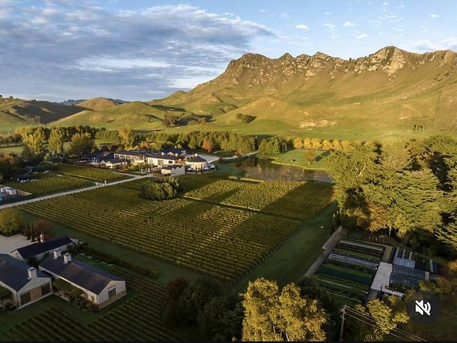 테 마타 피크와 크래기 레인지.&nbsp; &nbsp;인스타그램