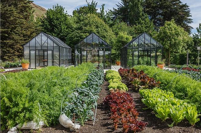 크래기 레인지 식재료 재배. 홈페이지