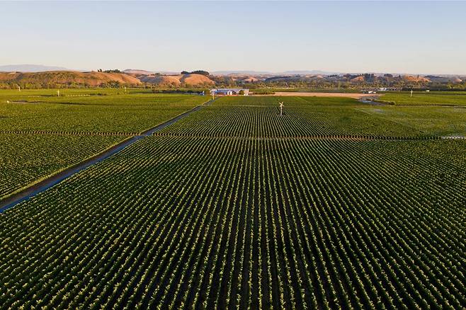 김블렛 그래블스 전경. 홈페이지