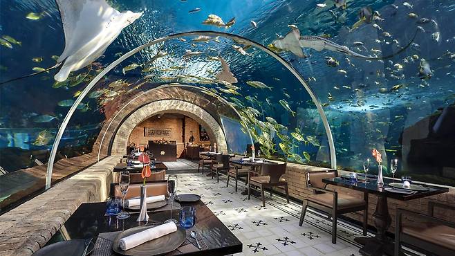 바닷속을 연상케 하는 아쿠아리움 콘셉트의 켐핀스키 레스토랑 코랄. 사진제공|팜투어