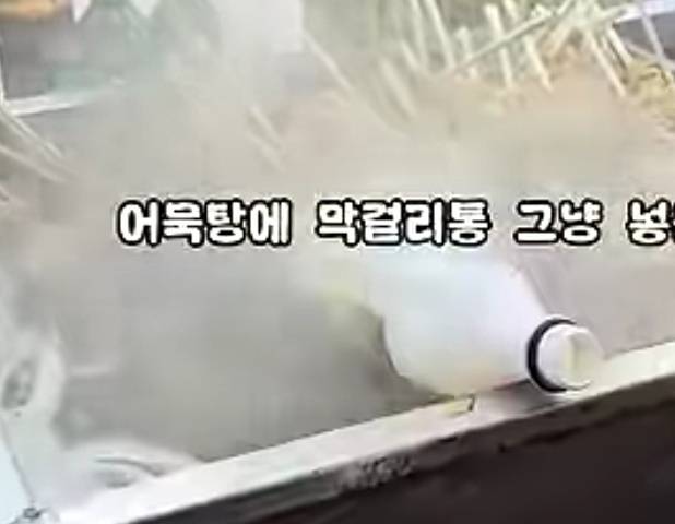 제33회 태백산 눈축제가 개막 첫날인 지난달 31일부터 일부 비위생 노점 논란에 휩싸여 태백시와 태백시문화재단이 조치에 나선 가운데, 최근 한 유튜브 방송에서 논란의 노점 자료 화면이 공개됐다. (모 유튜브 방송 갈무리. 재판매 및 DB금지) 2026.2.3/뉴스1