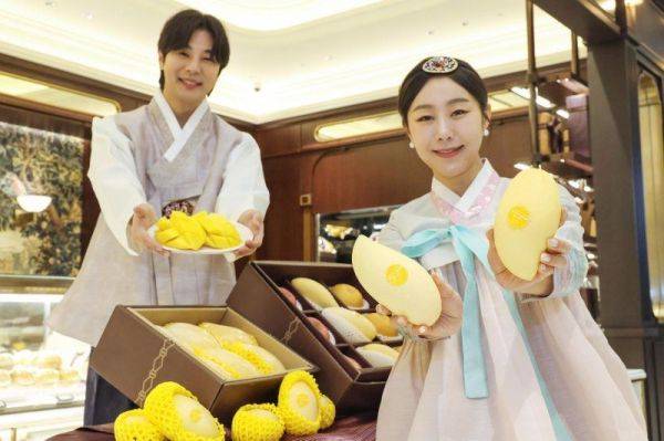 신세계백화점이 태국 중부 차층사오 지역과 협력해 선보인 망고 선물세트. 신세계